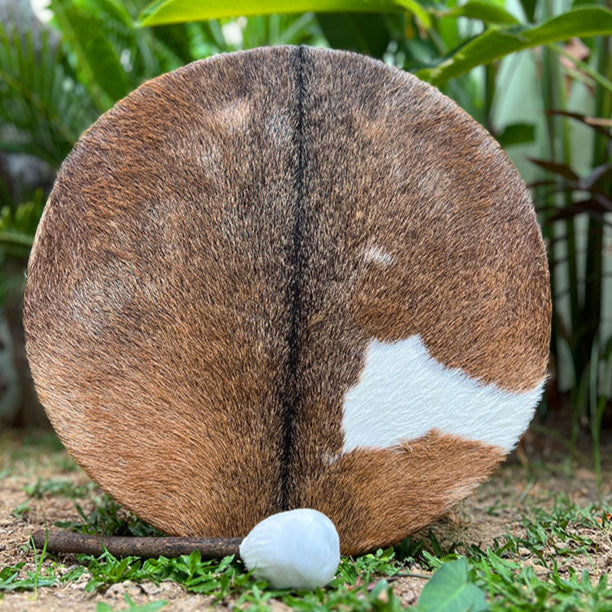 LIDAH® Shamanic Drum displayed beside other ritual instruments