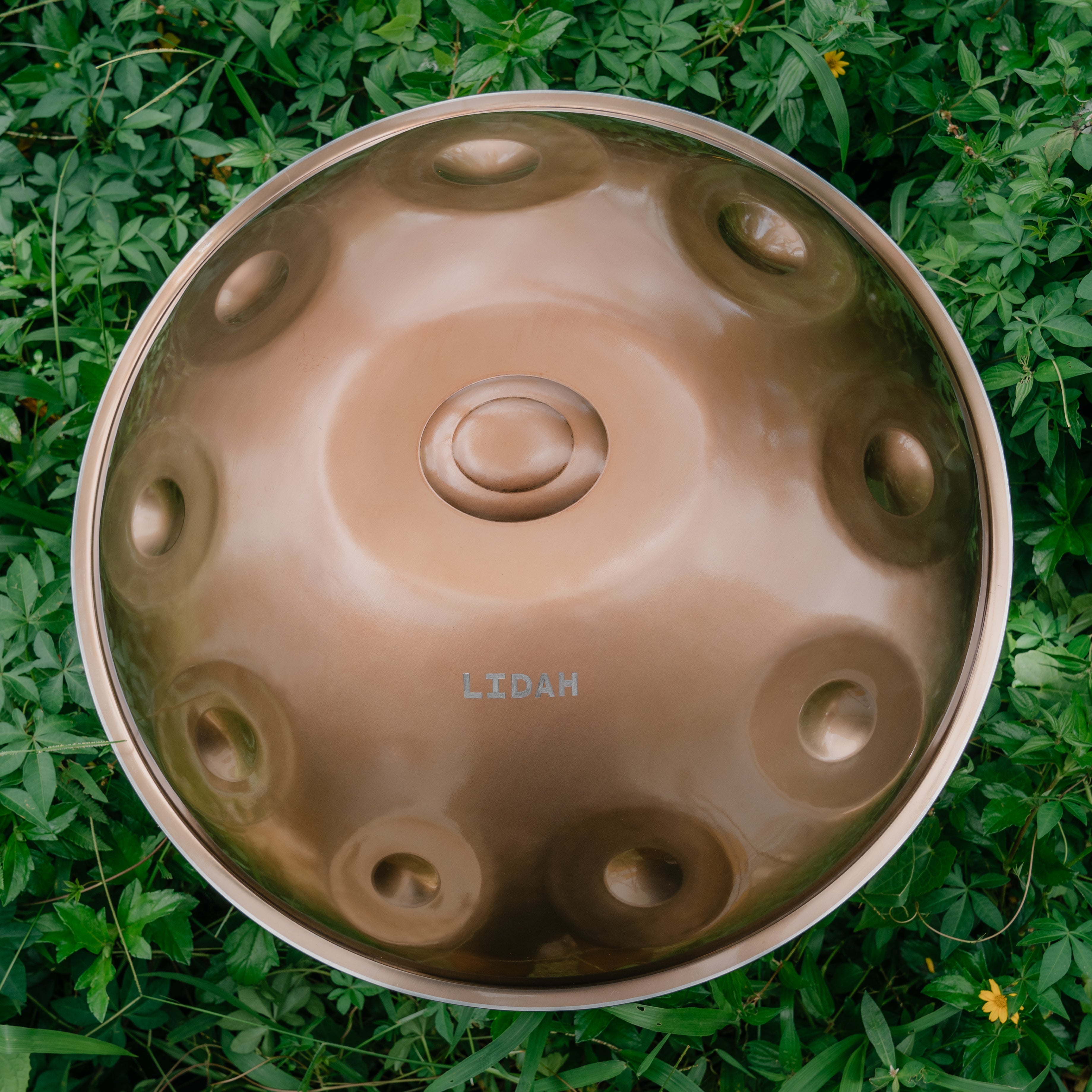 Stainless Steel I F Pygmy 10