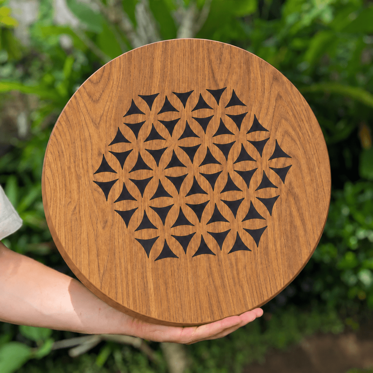 Rain Disk - LIDAH