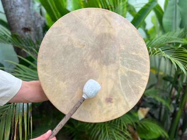 Shamanic Drums