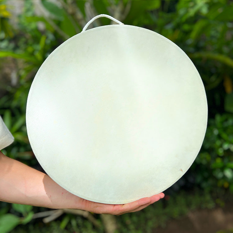 Ocean Drum resting on hand