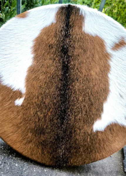 Shamanic Drum From Goat Skin standing outside