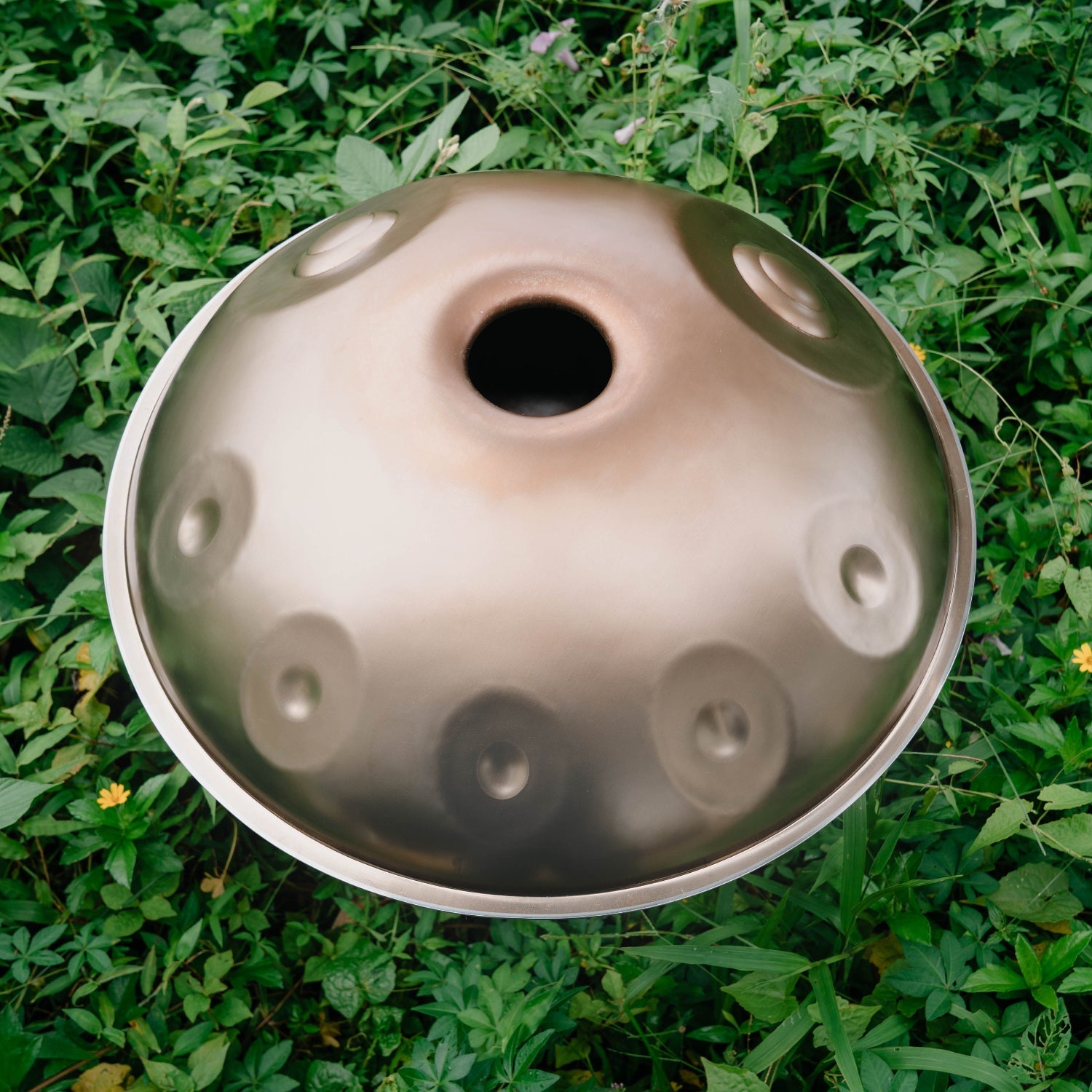 Stainless Steel I F2 Low Pygmy 16 - LIDAH